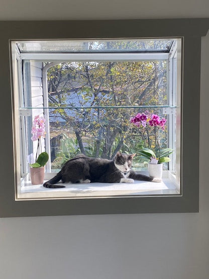 Garden Window