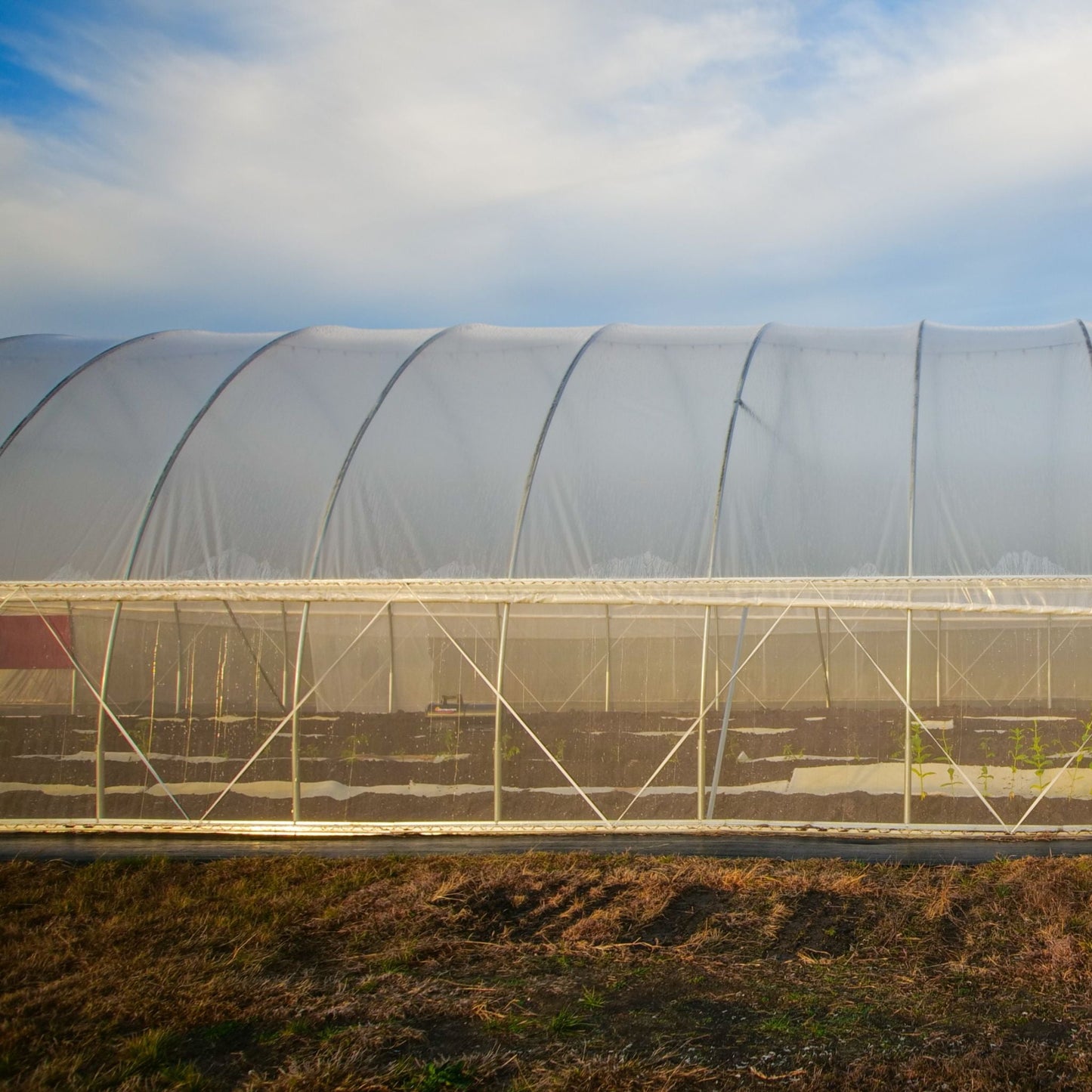 DIY Greenhouse Roll-Up Side Curtain Kit